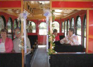 mt dora trolley